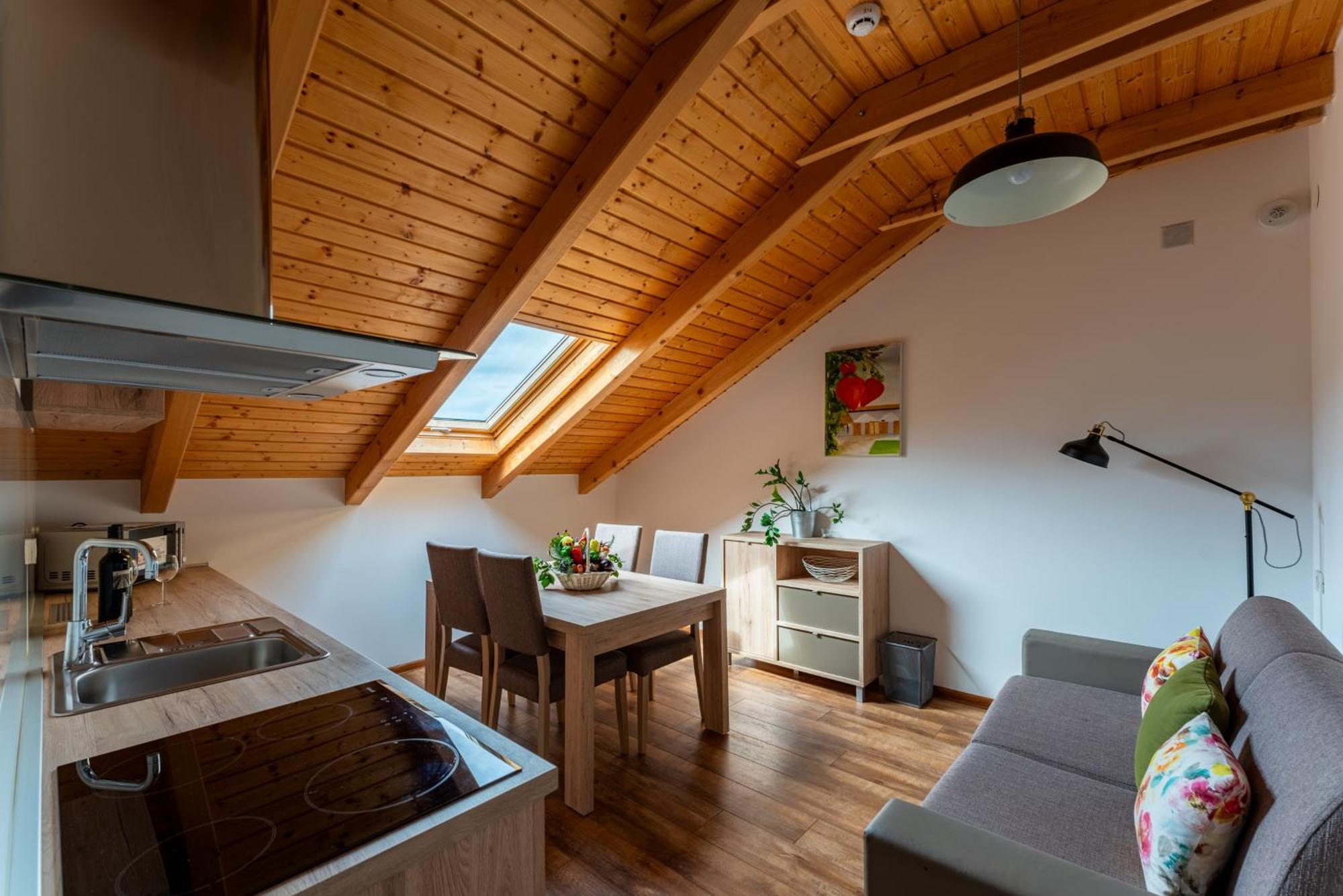 Bed&Breakfast Vinarija Coner Bjelovar Extérieur photo
